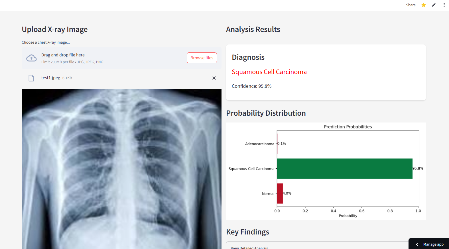 Lung Scan UI